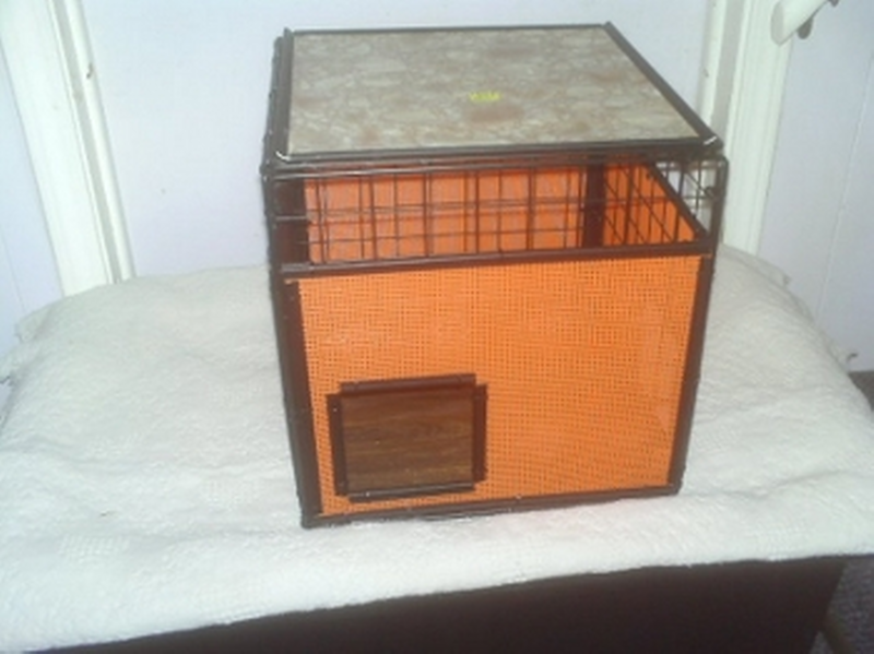 Rabbit Condo (Orange) (image for) Rabbit Condo (Orange)